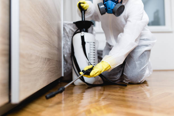 Best Pest Removal Services  in Lake View, AL