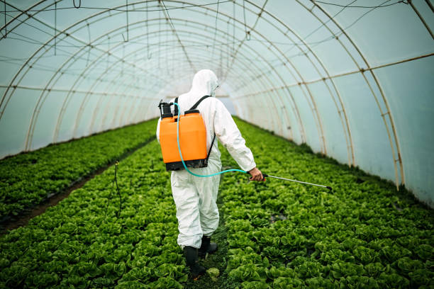 Best Pest Inspection Near Me  in Lake View, AL