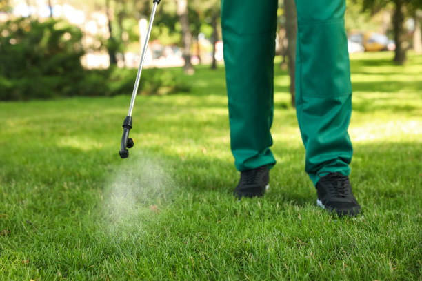 Best Cockroach Control Services  in Lake View, AL