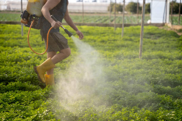 Pest Prevention Services in Lake View, AL