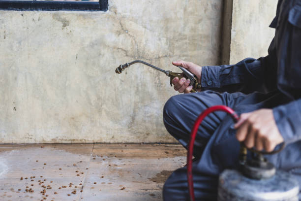 Best Cockroach Control Services  in Lake View, AL