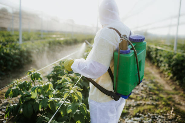 Best Best Pest Control Companies  in Lake View, AL